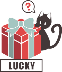 Mystery box